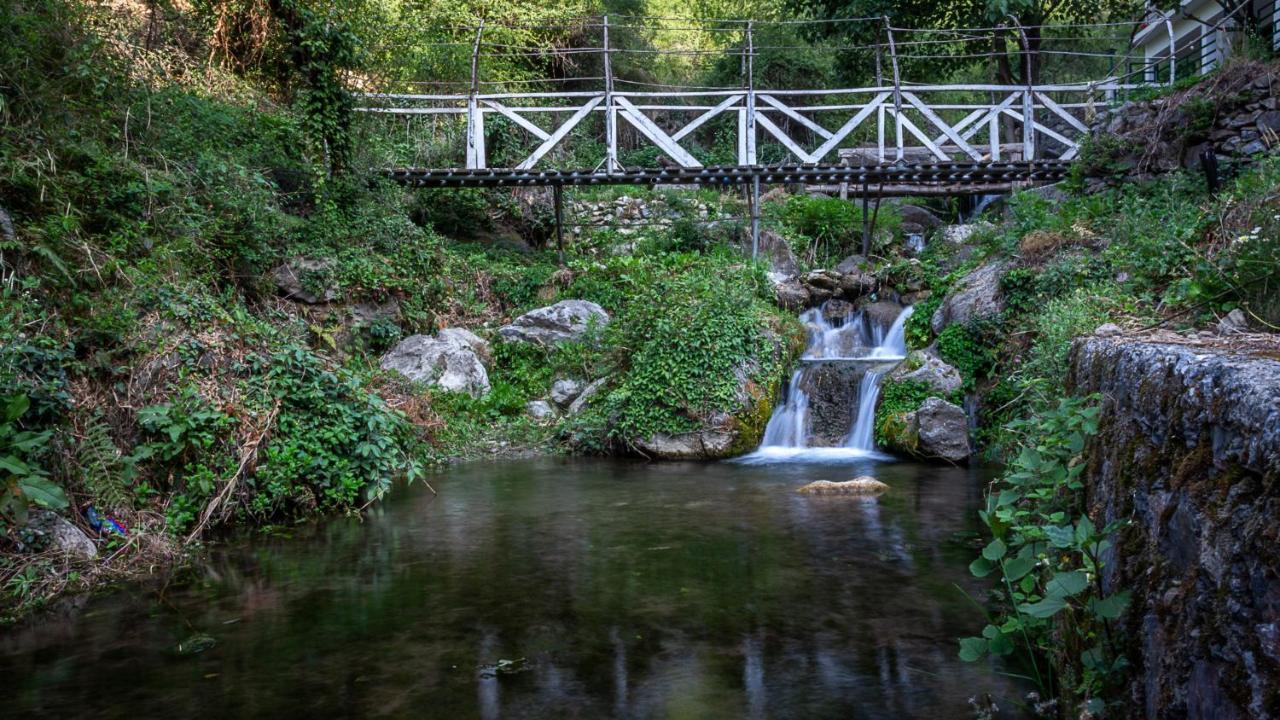 Babutaal Resort チャクラタ エクステリア 写真
